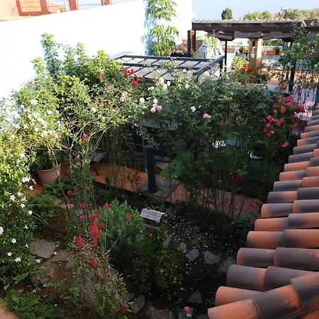 Casa Con Jardin Y Jacuzzi 別荘 Realejo Alto